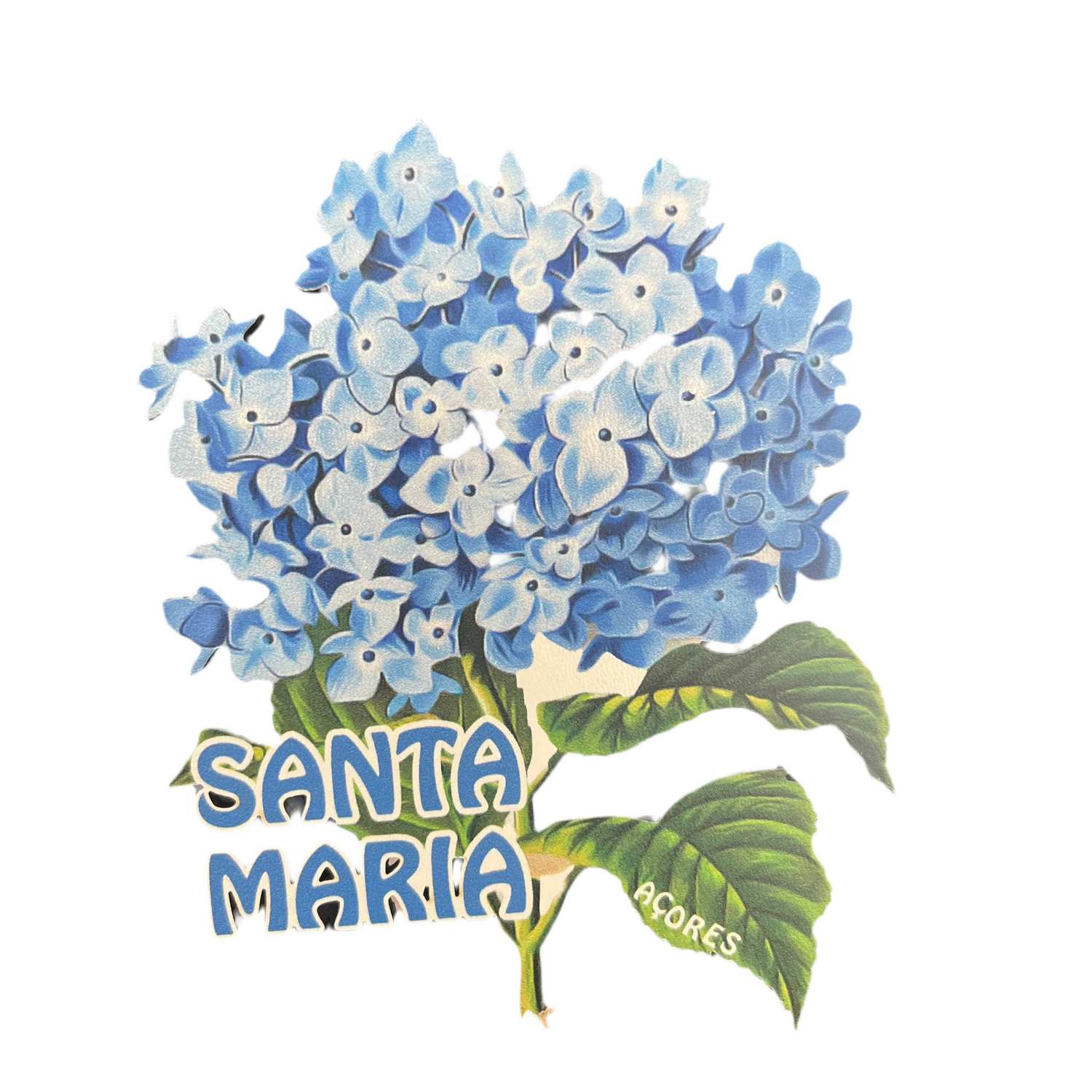 Lembranças Santa Maria