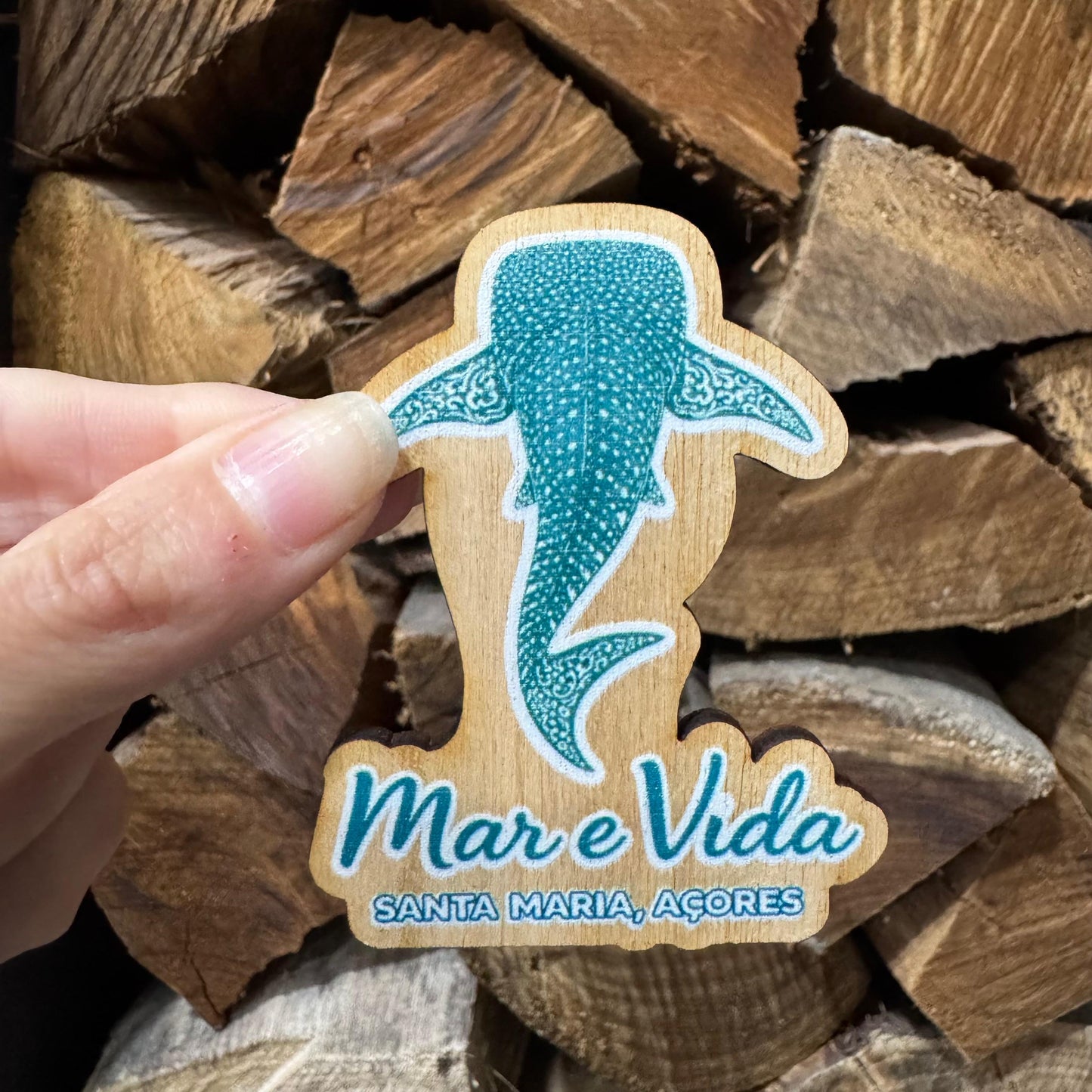 Íman em Madeira – Tubarão-Baleia Mar e Vida