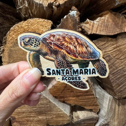 Íman em Madeira – Tartaruga “Santa Maria, Açores”