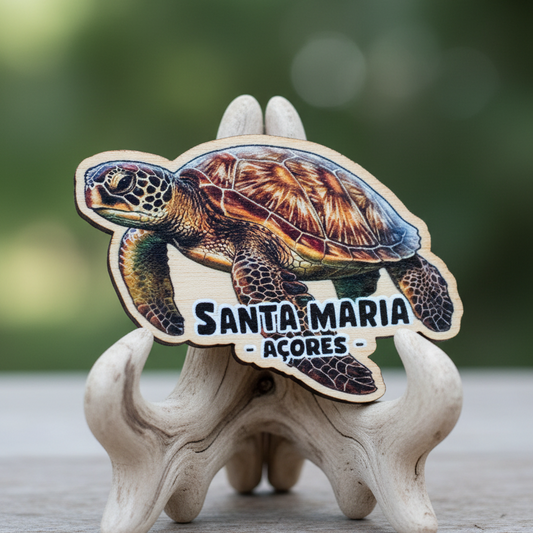 Íman em Madeira – Tartaruga “Santa Maria, Açores”