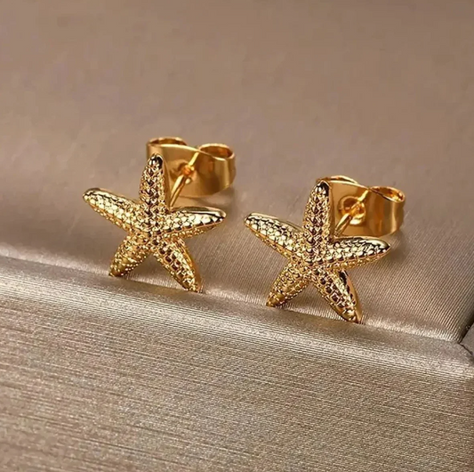 Brincos em Aço Inoxidável, Estrela do Mar