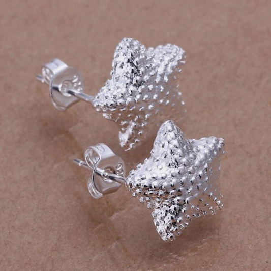 Brincos de Senhora em Prata 925, Estrela Tiffany&Co