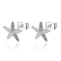 Brinco de Prisioneiro em Aço Inoxidável, Estrela do Mar Prateada