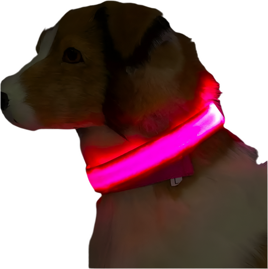 Coleira de Cão com Led, L/XL
