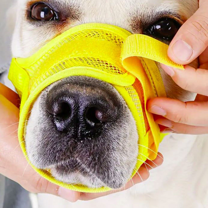 Anti Latido para Fucinho Cão