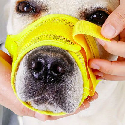 Anti Latido para Fucinho Cão