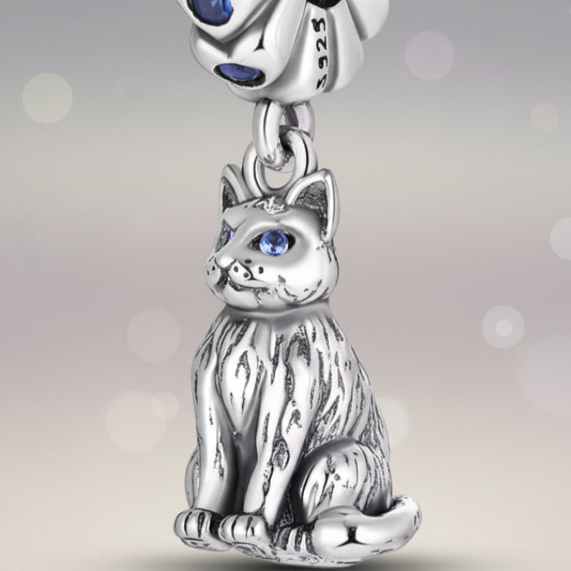 Conta em Prata 925, Gato