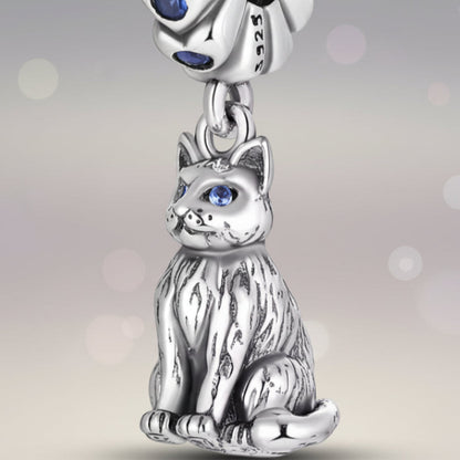 Conta em Prata 925, Gato