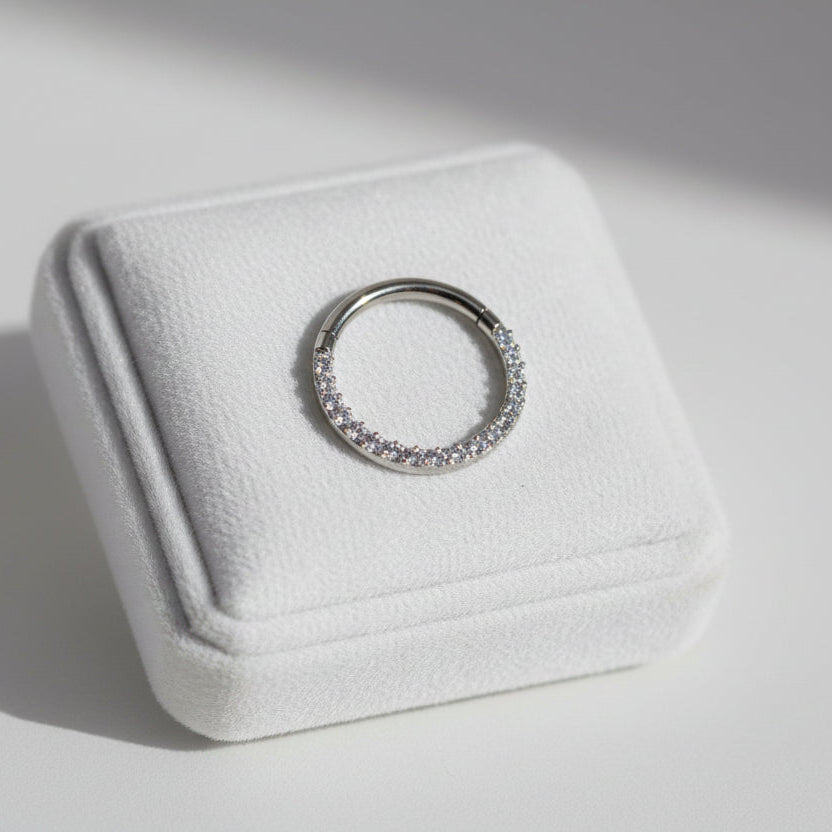 Anneau de Nez en Titane avec Zircons