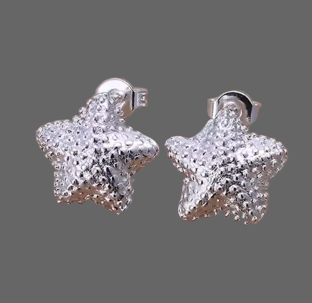 Brincos de Senhora em Prata 925, Estrela