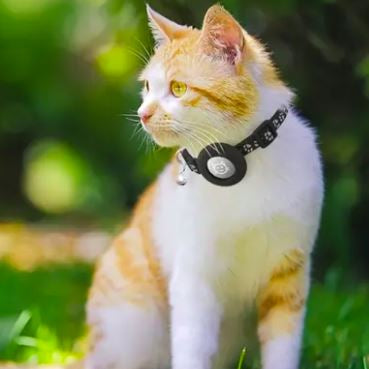 Coleira de Gato para AirTag