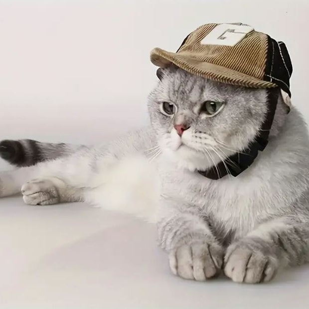 Chapéu para Cão Basebol G