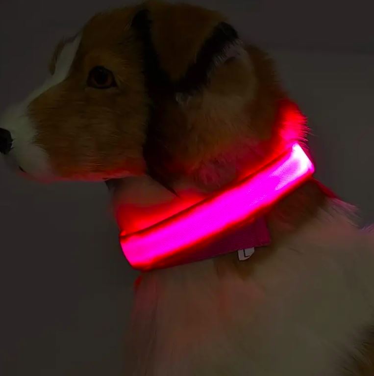 Coleira de Cão com Led, L/XL