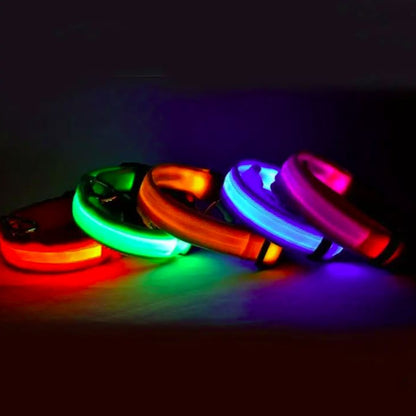 Coleira de Cão com Led, S/M