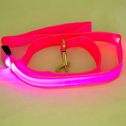 Trela Animal com LED