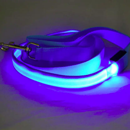 Trela Animal com LED